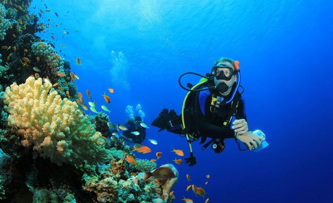 Райски остров или Ориндж бей с гмуркане