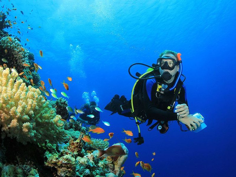 Райски остров или Ориндж бей с гмуркане