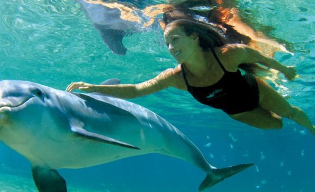 къща за делфините