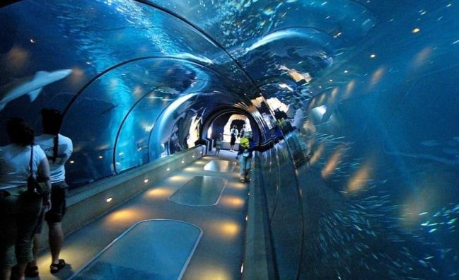 Гранд аквариум