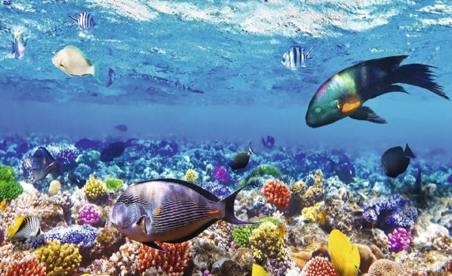 райски остров