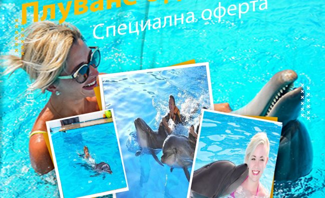 Плуване с делфини