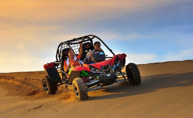 Сафари бъги (залеза)